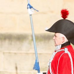 201701_rfspd_5792846.jpg